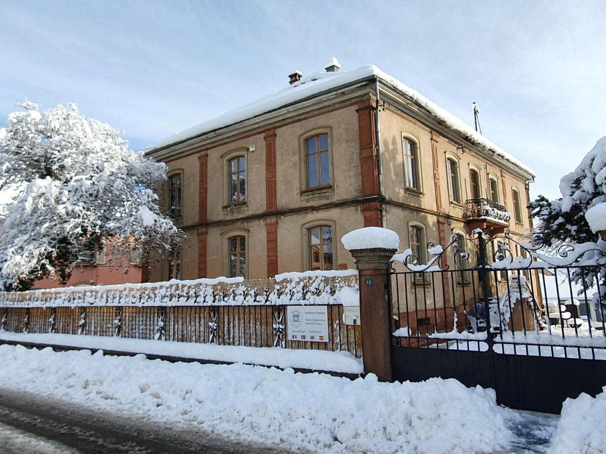 Sojolidays - Appartements D'Hotes Sur La Route Des Vins D'Alsace Rorschwihr Dış mekan fotoğraf